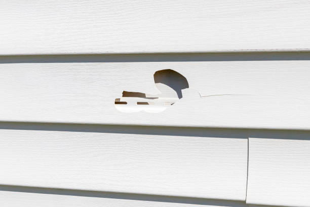 How To Choose The Right Materials for Your Siding Installation in 'Lamar, TX